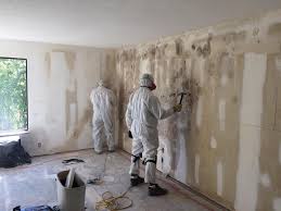 Best Environmental Consulting for Mold Prevention  in Davis Junction, IL